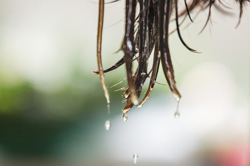 Why All Hair Needs SULFUR Now